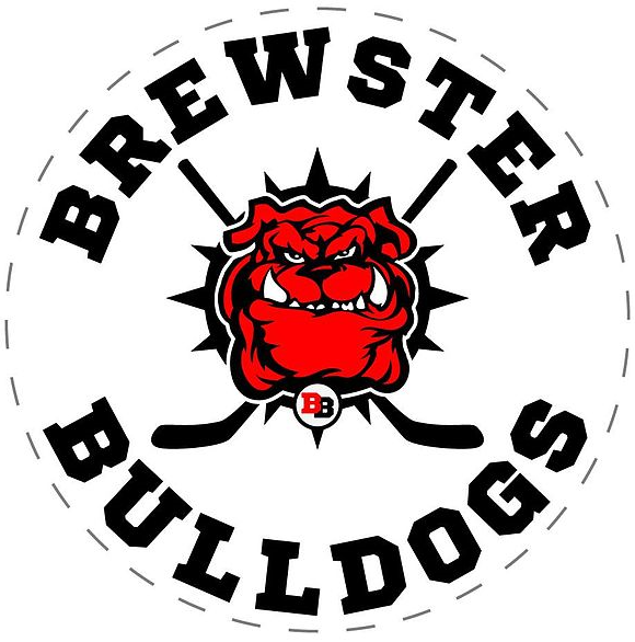 Brewster Bulldogs 2016 Primary Logo iron on transfers for clothing